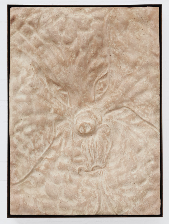 *Gut Flora (Glossococcus)*, 2022, excrément de mammifère verni de lait maternel, 90 x 60 x 10 cm. Courtesy the artist.