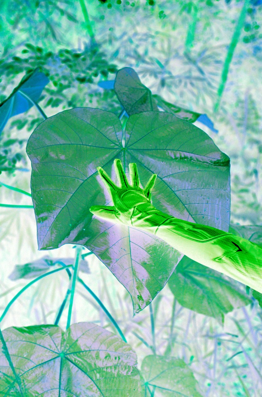 *Matrix Vegetal; comparto mi espíritu con tu flor*, 2021, photographie analogique sur papier Hahnemühle Ultra Rag Smooth 305g, encadrée avec un cadre en bois blanc arrondi et un verre antireflet UV, 100 x 66 x 3 cm. Courtesy the artist & The RYDER.