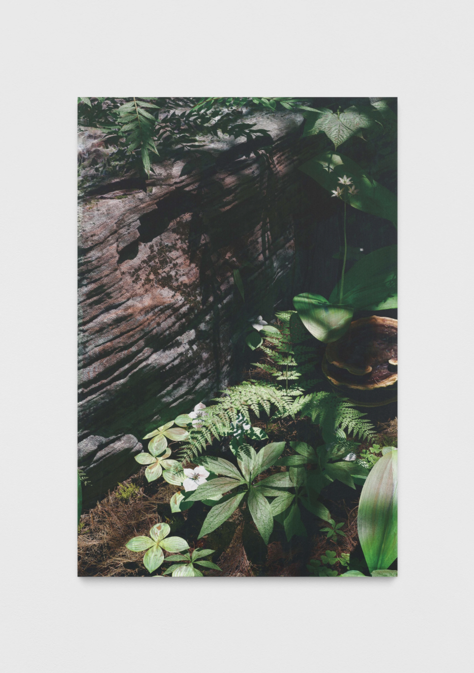 *Untitled (natural origin, 9)*, 2023, panneau de cuivre dibond en aluminium personnalisé, gesso, impression UV, 99 x 66 x 3.2 cm. Courtesy the artist & Société, Berlin.