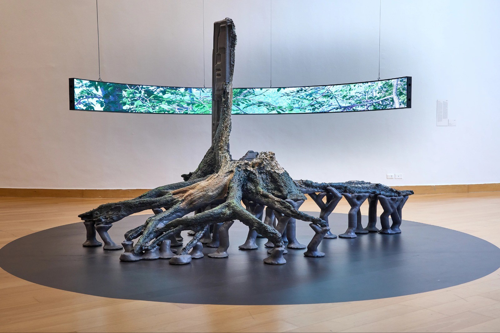 Vue d’exposition, « Oracle of the Ashes of Plants », Bangkok Art Biennale, Bangkok Art and Culture Centre, Thaïlande, 2022.