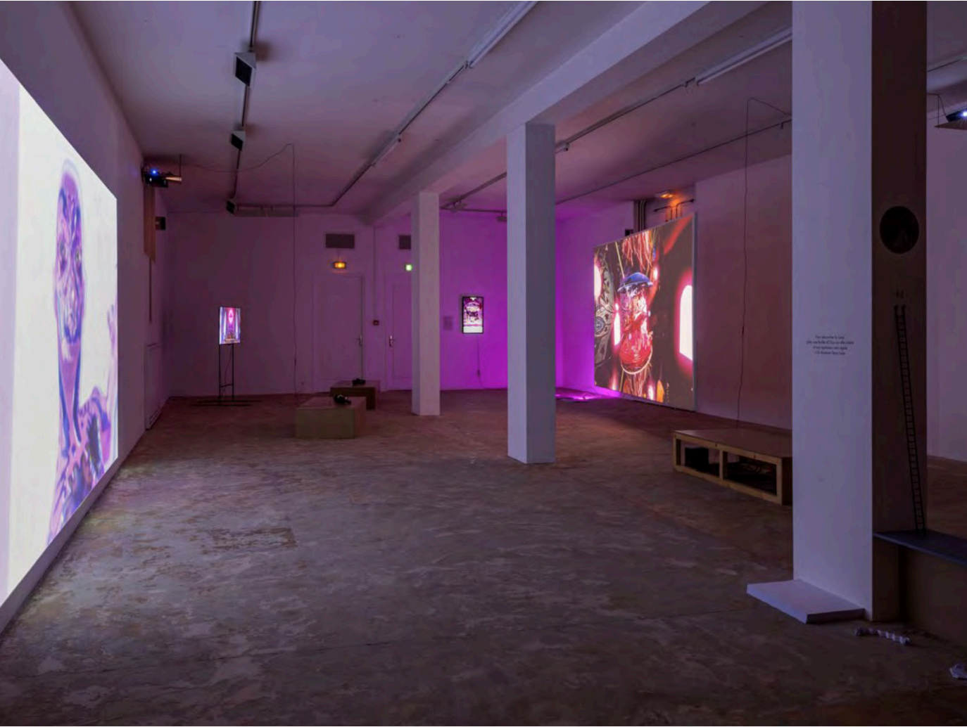 Vue d’exposition, « Cosmogonias », Galerie municipale Jean Collet, Vitry-sur-Seine, 2022.