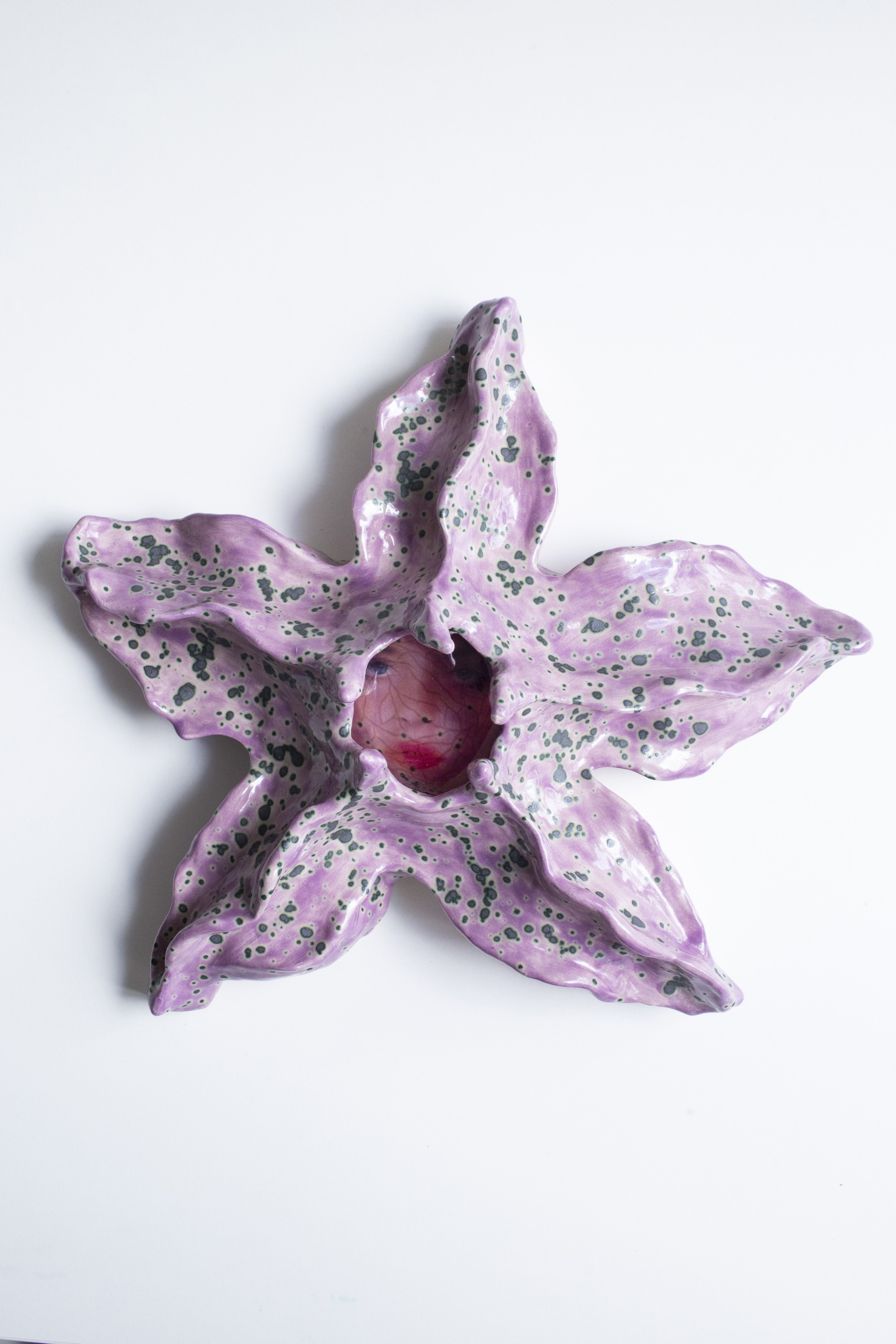 *starfish’s face*, 2024, céramique émaillée, impression sur rhodoïde et résine, 32 x 32 x 10 cm. Courtesy the artist & spiaggia libera, Paris. Photo © Marilou Poncin