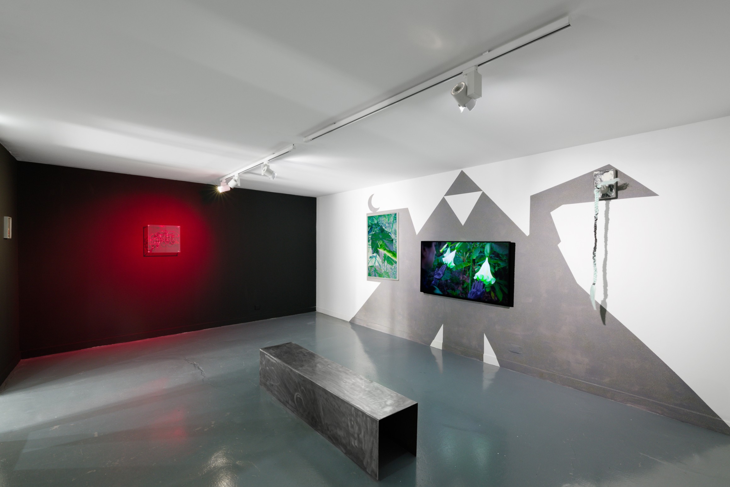 Exhibition view, “And the wasp entered the fig”, Spiaggia Libera, Paris, 2024. © Aurélien Mole