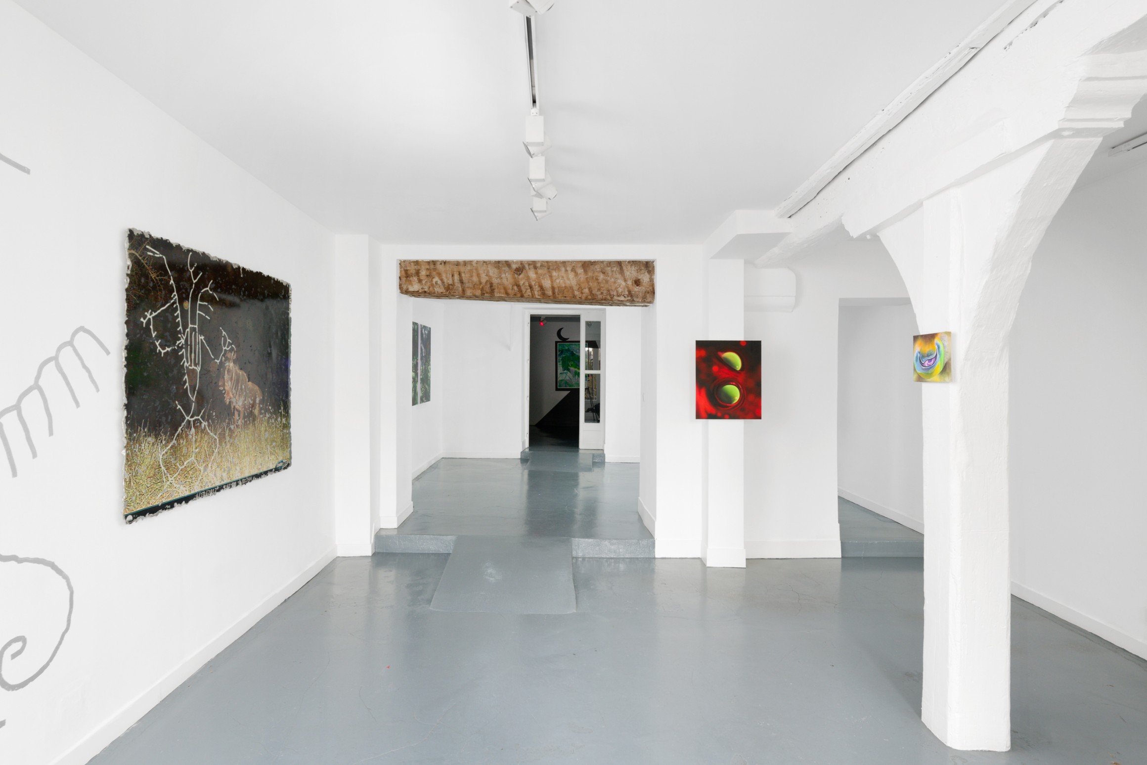Exhibition view, “And the wasp entered the fig”, Spiaggia Libera, Paris, 2024. © Aurélien Mole