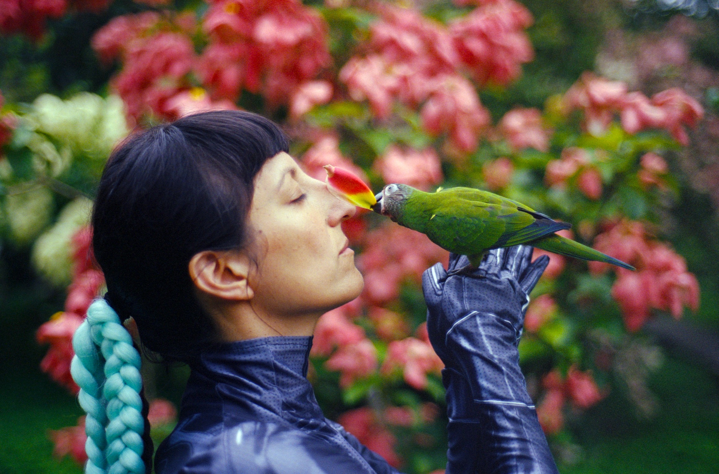 Patricia Domínguez, *Matrix Vegetal*, 2022, single-channel 4K video with sound, 21min14. Courtesy the artist & The RYDER.