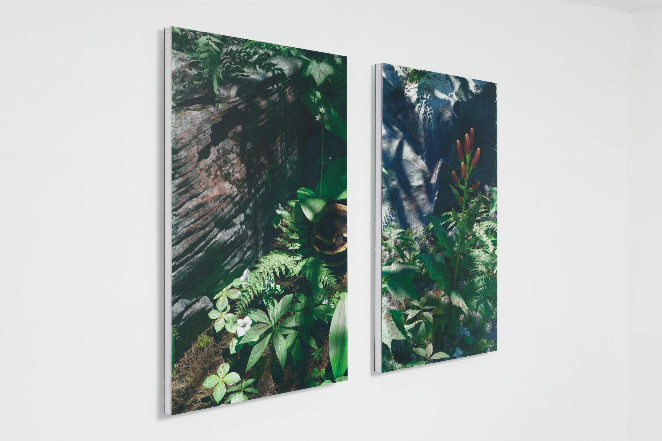 Exhibition view, “And the wasp entered the fig”, Spiaggia Libera, Paris, 2024. © Aurélien Mole