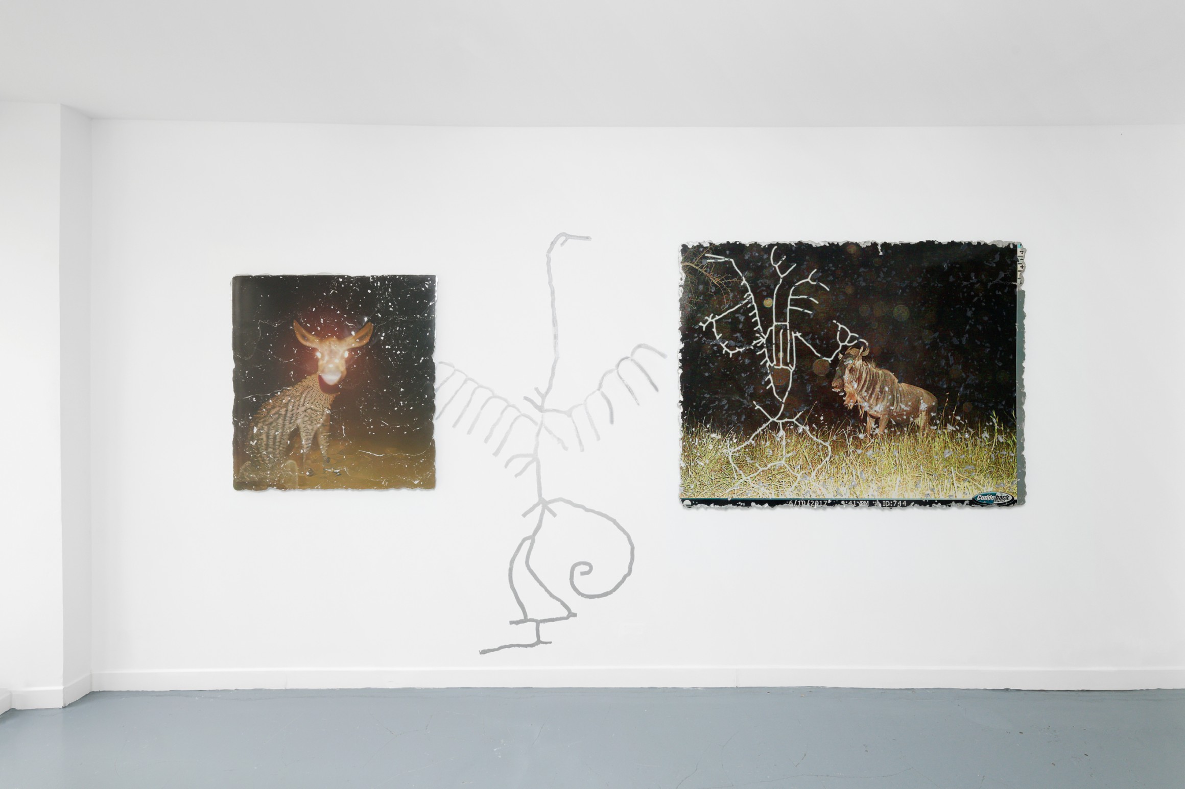 Exhibition view, “And the wasp entered the fig”, Spiaggia Libera, Paris, 2024. © Aurélien Mole