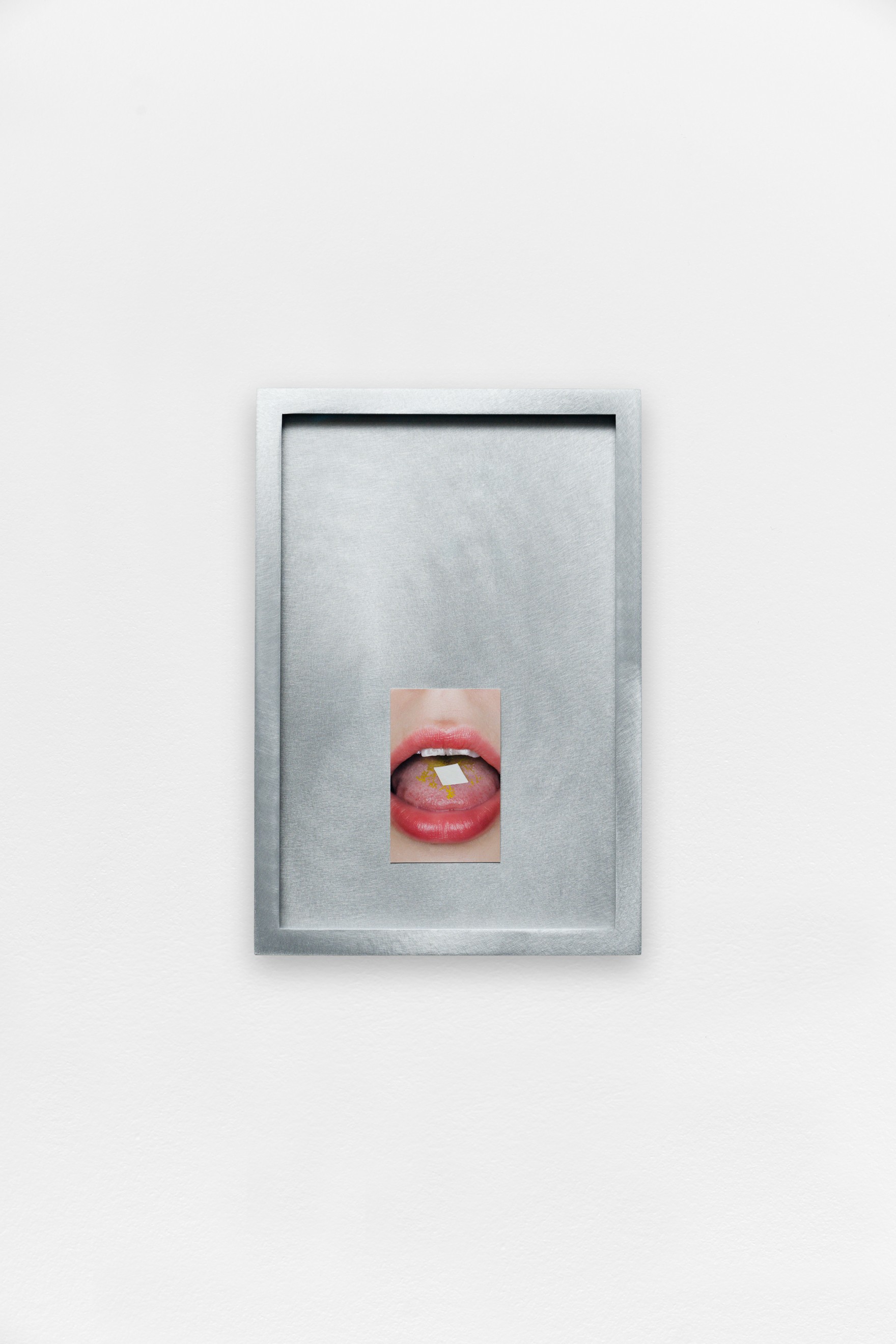 Jenna Sutela, *Many-Headed Reading*, 2016, print, aluminium frame, 22 x 15 cm. Courtesy the artist. © Aurélien Mole