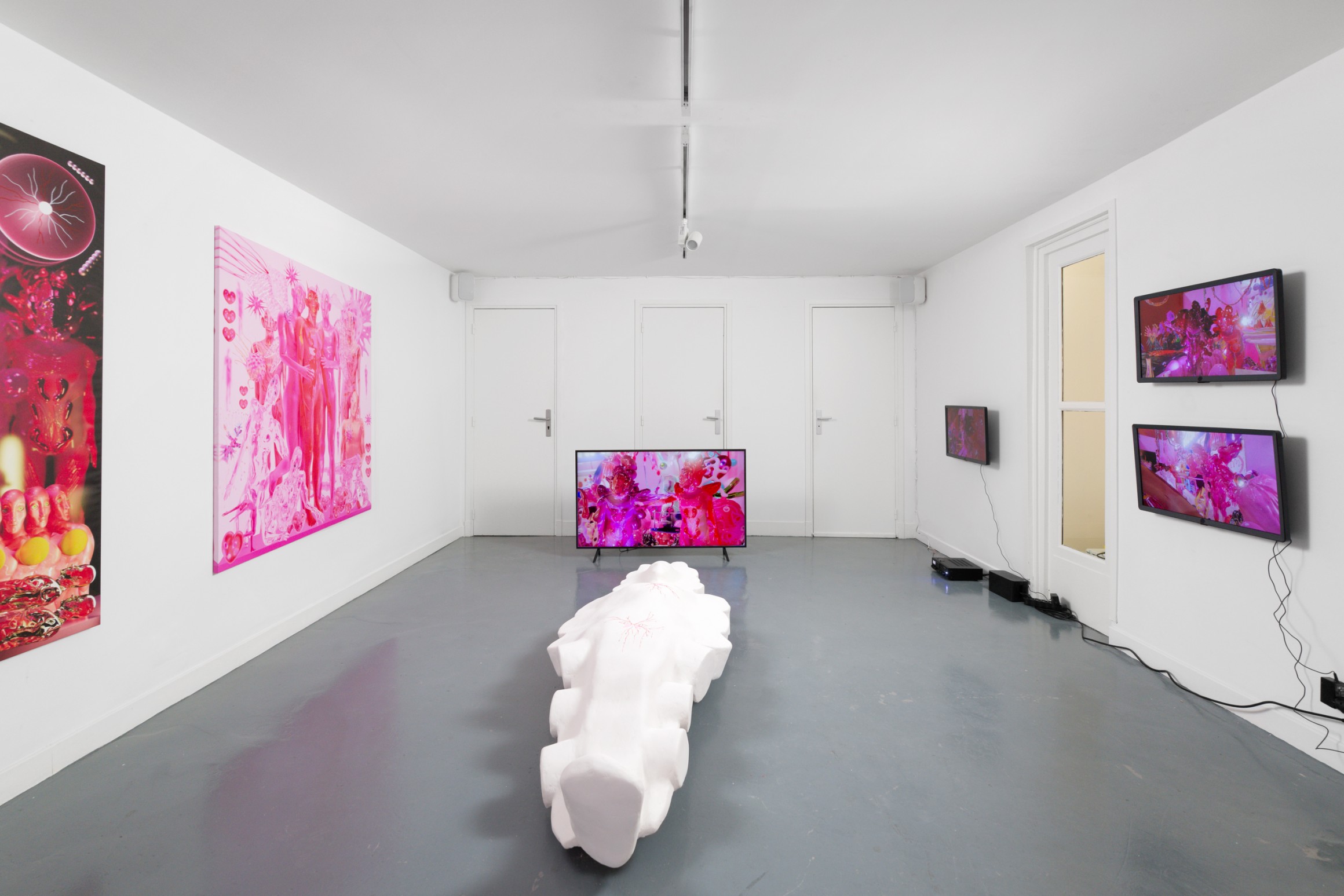 Exhibition view, « Infected/Disfigured », Spiaggia Libera, Paris, France, 2024. Courtesy the artist & Spiaggia Libera, Paris. © Aurélien Mole